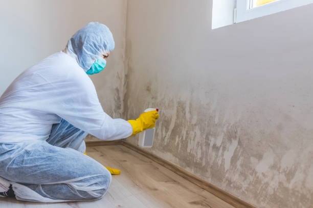 Mold Remediation specialist working in Greensboro