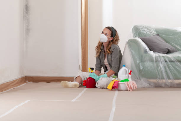 Mold Removal service in Greensboro